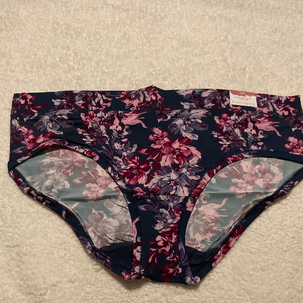 NWT Cacique Lane Bryant Green Arctic Dusk Floral Hipster Panties Size 18/20